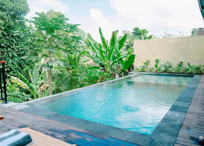 Nasa Place With Jungle View *