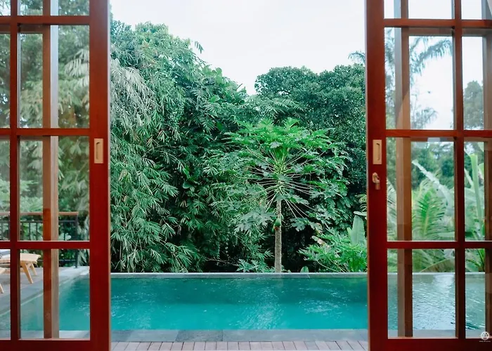 Nasa Place With Jungle View *